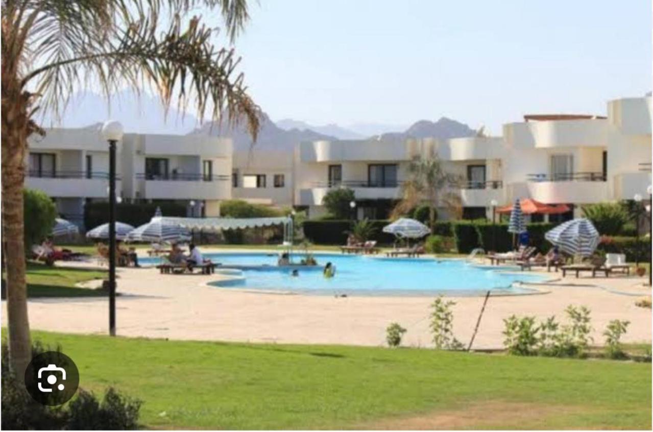 שארם א-שייח Naama Bay Apartment-Wifi מראה חיצוני תמונה